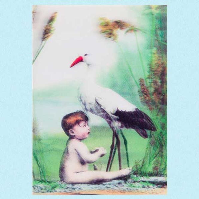 Hovedbilde Kort 3D stork